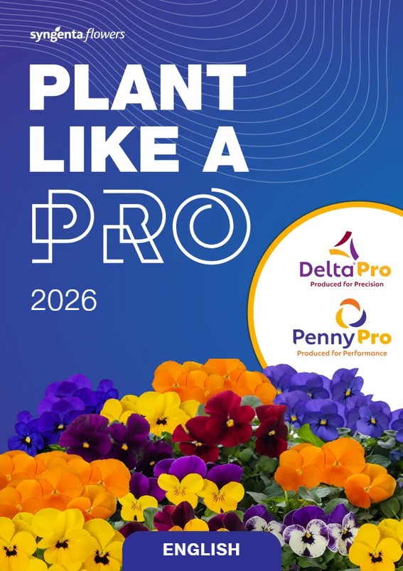 2_syngenta_dvimeciai_2026