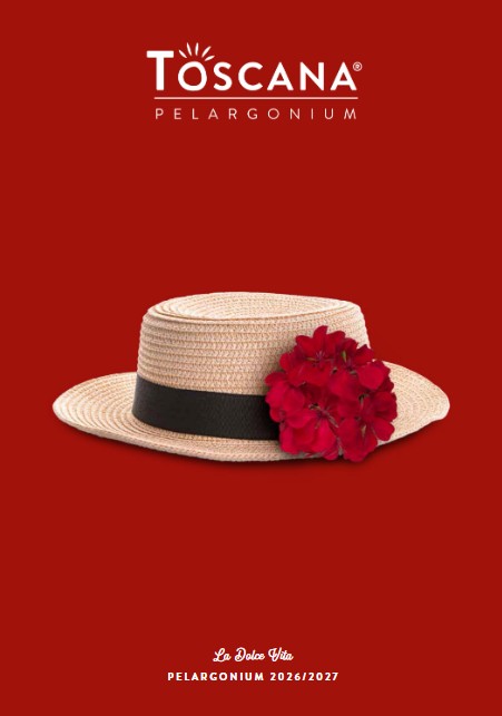 6_florensis_toscana_pelargonijos_2027